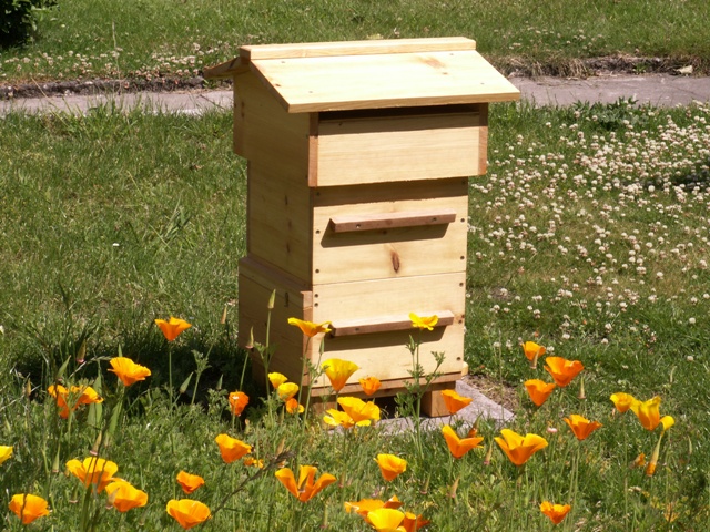 Hives Overview, Types of Hives - HealthCommunities.com