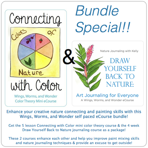 Connect with nature creatively With WIngs, Worms, and Wonder ecourses! Click to learn more!