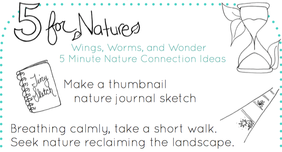 5-for-nature-screenshot