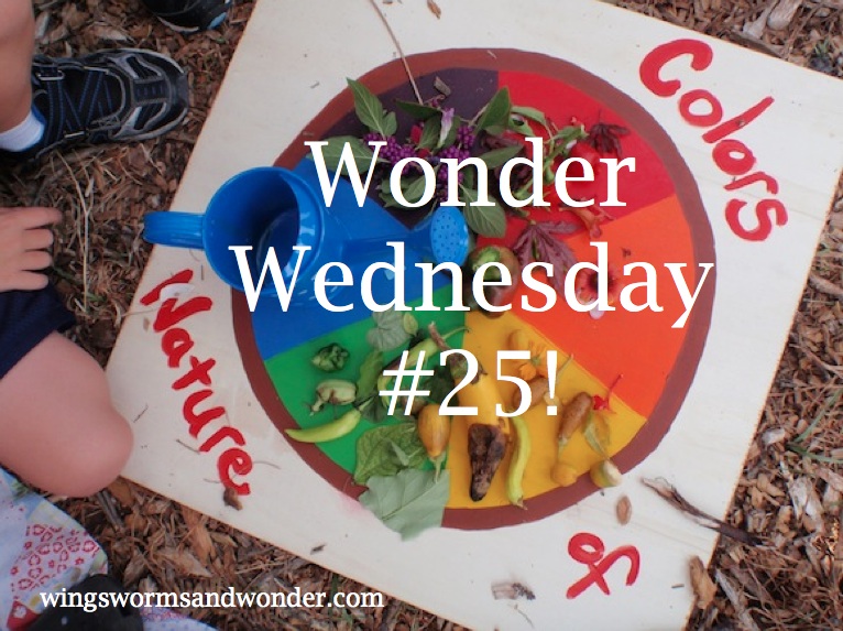 Wonder Wednesday 25