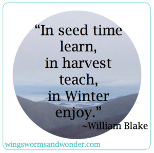 For much of the world winter is the time to enjoy relaxing and reflecting on garden successes and challenges, but in the warm climates, winter is when vegetable gardening really ramps up! Click through to learn more about enjoying winter gardening
