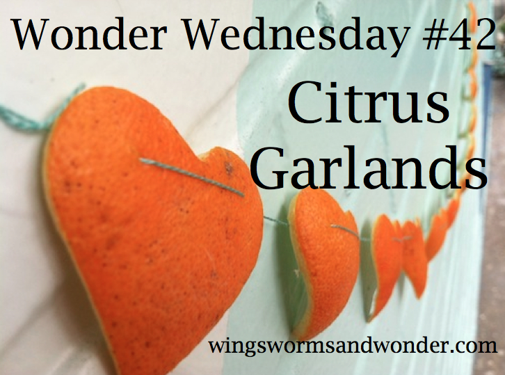 Love the cheery sweet smell of citrus? Click through to get a FREE Wonder Wednesday citrus garland making activity!