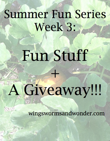 Fun Summer Stuff Amp A Giveaway Wings Worms And Wonder