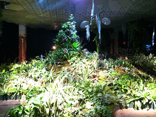 Underground Gardening at the Lowline - Wings, Worms and Wonder