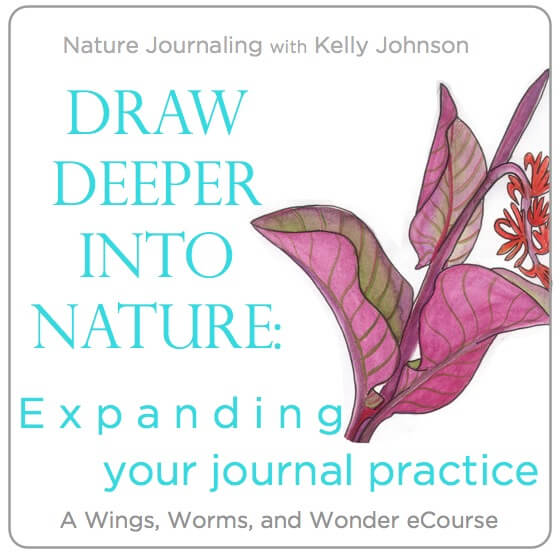 ecourse-draw-deeper