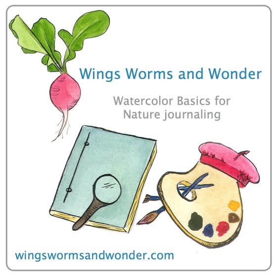 ecourse-free