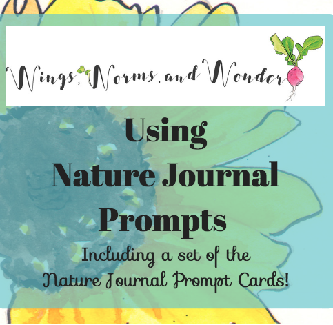 journal-prompts-course-square-graphic