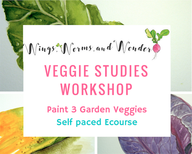 veg-stud-wkshp