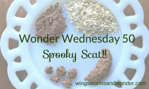 wonder wednesday 50 spooky scat recipe