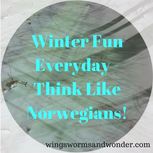 Get some wacky weather Norwegian outdoor adventure inspiration! Click through for ideas for tons of Wings, Worms, and Wonder winter outdoor fun!