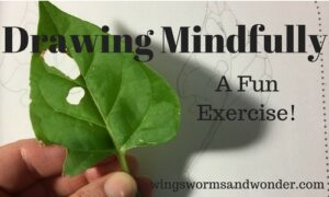 drawing mindfully