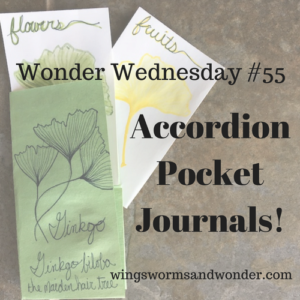Wonder Wednesday 55 accordion pocket journal