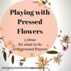 Playing with pressed flowers 5 ideas