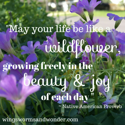 Download May Your Life Be Like a Wildflower - Wings, Worms and Wonder