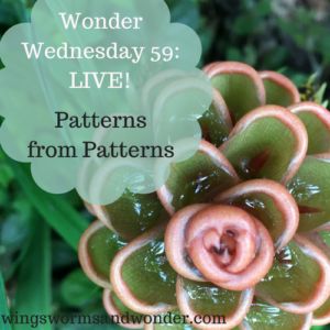 Wonder Wednesday 59 patterns from patterns Wings, Worms, and Wonder