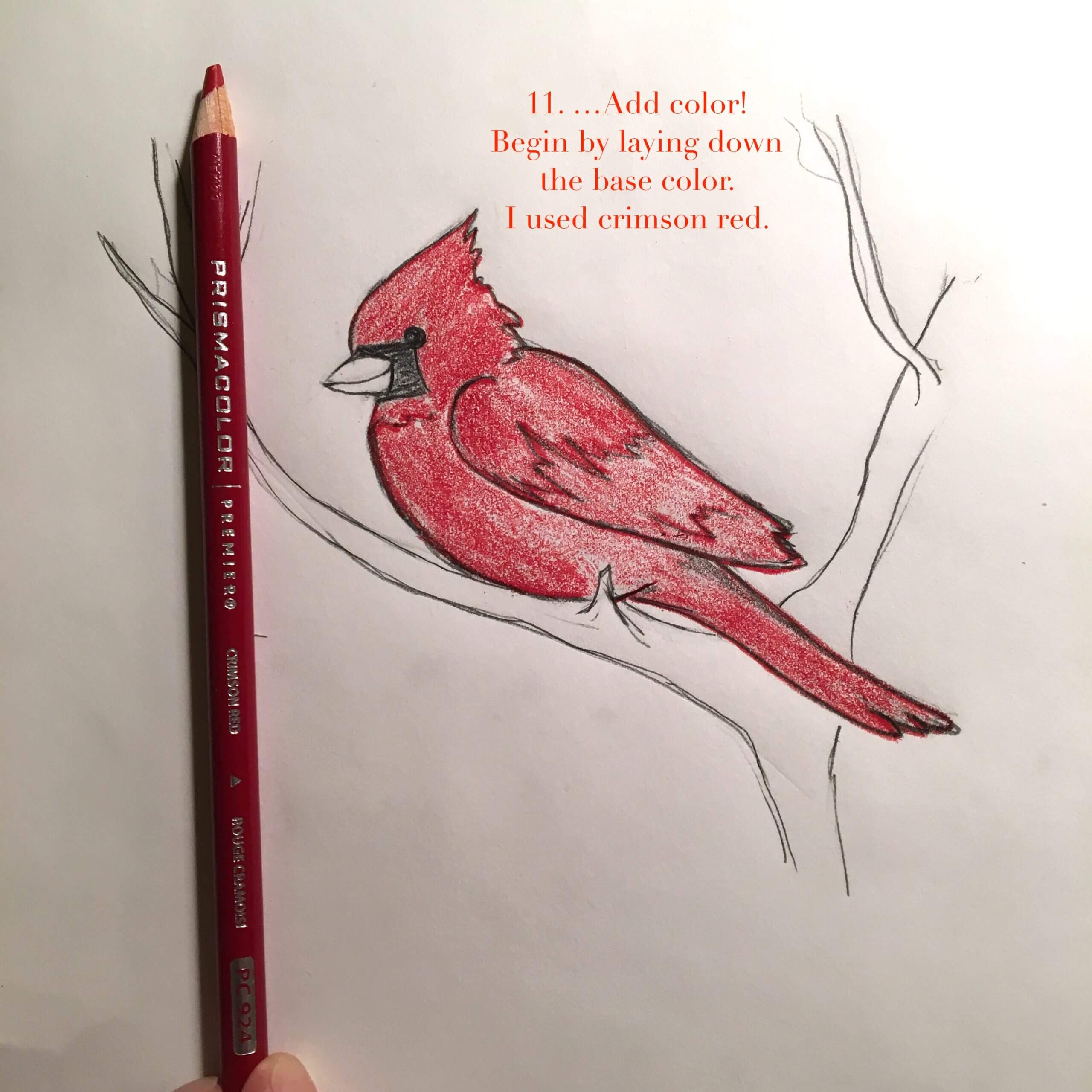 Wonder Wednesday 65: Draw Cute Winter Cardinals step by step – Wings ...