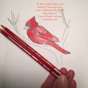 Learn to draw and color northern cardinals step by step! Connect with nature through creativity every day with Wings, Worms, and Wonder!