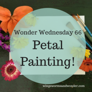 Wonder Wednesday 66 Petal Painting