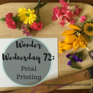 Wonder Wednesday 73 petal printing