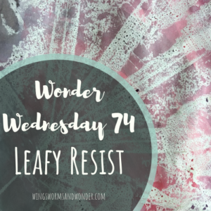 wonder wednesday 74