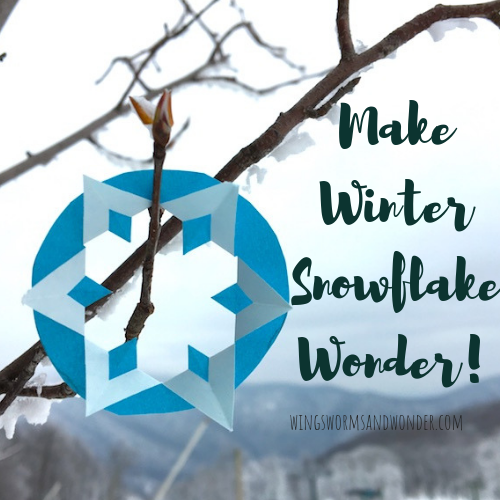 Why do snowflakes have 6 points? Click to learn why and how to make your own 6 sided snowflakes the Wings, Worms, and Wonder way!