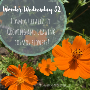 Wonder Wednesday 82: Cosmos Creativity! Wings, Worms, and Wonder