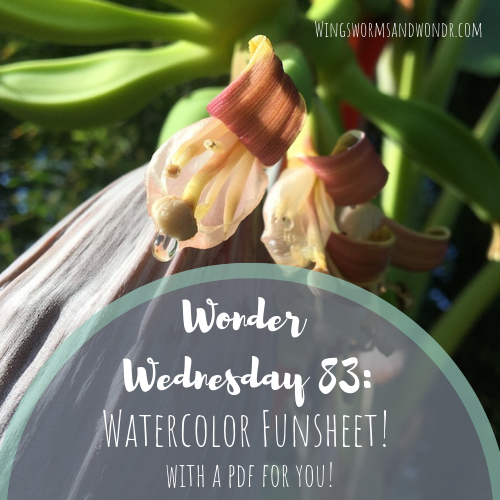 It's World Watercolor Month! Click for a Wings, Worms, and Wonder printable watercolor funsheet for you to celebrate summer nature.
