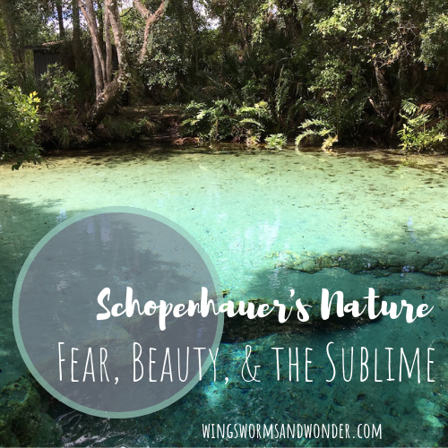 Explore with Wings, Worms, and Wonder Schopenhauer's idea of how frightening aspects of nature can brings sublime awe. Click to hear my rattlesnake story!