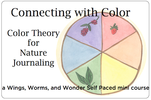 Creatively connect with nature in a Wings, Worms, and Wonder online nature painting class!