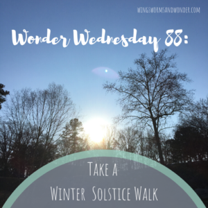 Wonder Wednesday 88 winter solstice walk