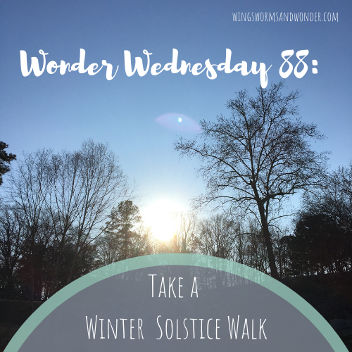 The longest night of the year is rich with history, culture, and story! Click to join me in a Wings, Worms, and Wonder Solstice Walk celebration