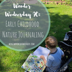 wonder wednesday 90 early childhood nature journal