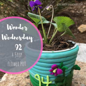 Wonder Wednesday 92 flower pots