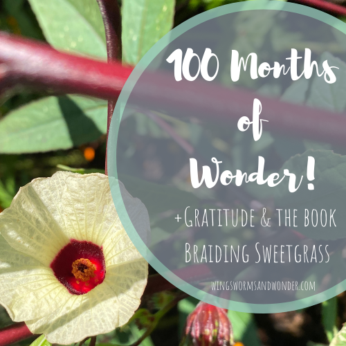 November marks the 100 month of Wonder Wednesday blog posts and activities! Click the to join the Wings, Worms, and Wonder 100 month gratitude celebrations!