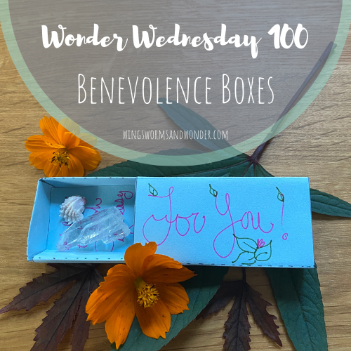 wonder-wednesday-100 It's the 100th Wonder Wednesday activity! Click to Join Wings, Worms, and Wonder in making & scattering benevolence boxes to spread like seeds of kindness!