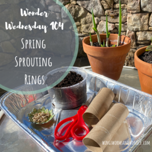 wonder wednesday 104 spring sprouting rings