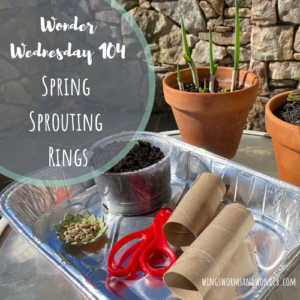 Sprout spring seeds in rings with Wings, Worms, and Wonder! Click to get the activity!