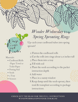 Sprout spring seeds in rings with Wings, Worms, and Wonder! Click to get the activity!