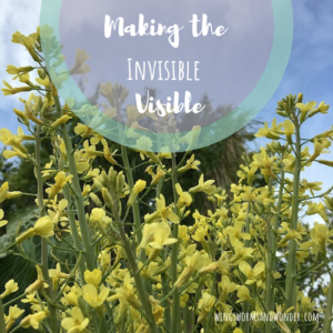 Click for fun Wings, Worms, and Wonder's ideas for helping make the invisible visible in your natural world!