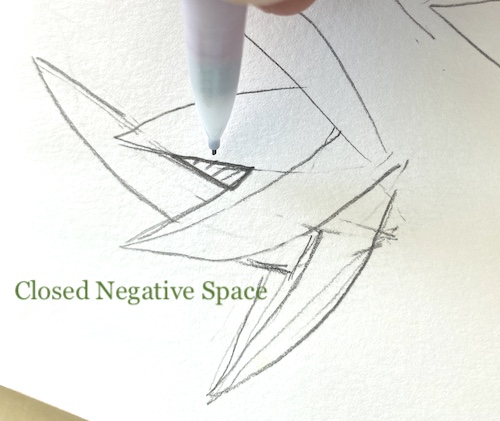 In this Wonder Wednesday 106 step-by-step project, we're going to focus on the shapes of the negative space in-between the elements of our subject to help us draw proportionally and paint color relationships. Click to grow your nature journaling techniques with Wings, Worms, and Wonder today!