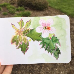July is World Watercolor Month! Click for ideas on how to play along with Wings, Worms, and Wonder!
