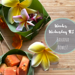 Learn how to make an eco bowl right from a fresh banana leaf! Click to learn how with Wings, Worms, and Wonder!