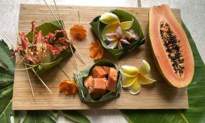 Learn how to make an eco bowl right from a fresh banana leaf! Click to learn how with Wings, Worms, and Wonder!