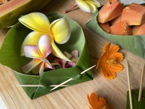 Learn how to make an eco bowl right from a fresh banana leaf! Click to learn how with Wings, Worms, and Wonder!