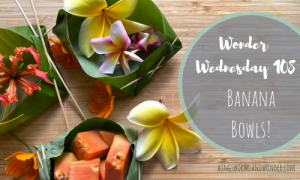 Let's make a bowl from a banana leaf! Click to learn how with Wings, Worms, and Wonder!