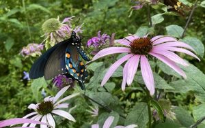 Wonder Wednesday 109! Make tag to gift graititude with Wings, Worms, and Wonder featuring Monica the Creative Beast! Click & get inspired plus a fun pdf printable too!