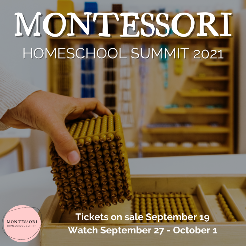 Join Wings, Worms, and Wonder in the Montessori Homeschool SummiT!