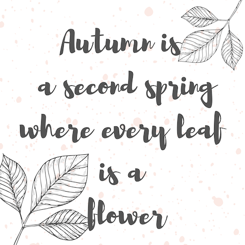 Copy of Untitled (2000 x 2000 px) Color you way into fall with Wings, Worms, and Wonder and Camus! Click for your printable coloring page!