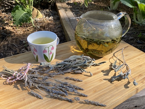 It's Wonder Wednesday 112! Click to make garden fresh sage tea with Wings, Worms, and Wonder!