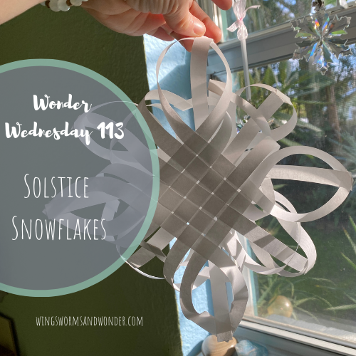 Let's make winter solstice snowflakes! Click to join Wings, Worms, and Wonder to celebrate a snowy solstice no matter what the weather!